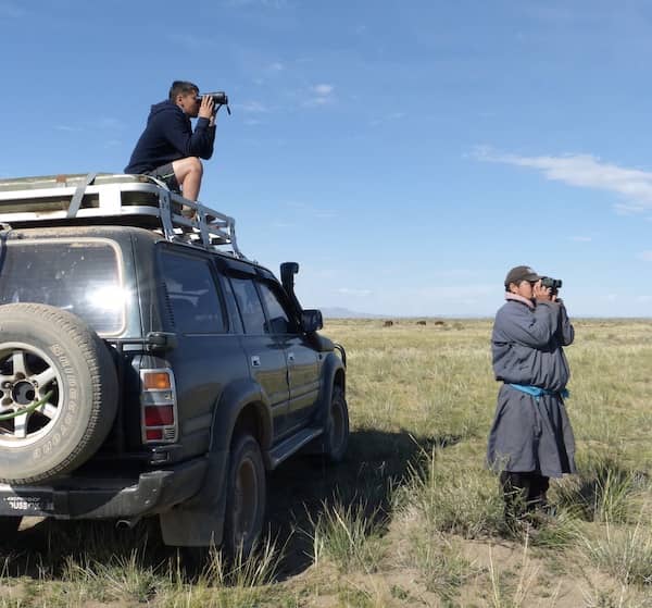 Projects - Advancing Conservation in Mongolia