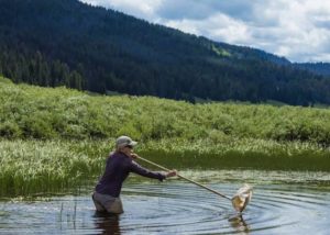 Projects - Amphibian Monitoring