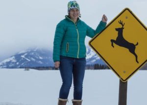 Projects - Reducing Roadkill AFocus on Mule Deer and Golden Eagles in Wyoming